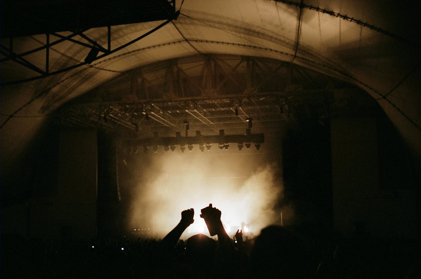 Hands raised in fists at a smoky concert.